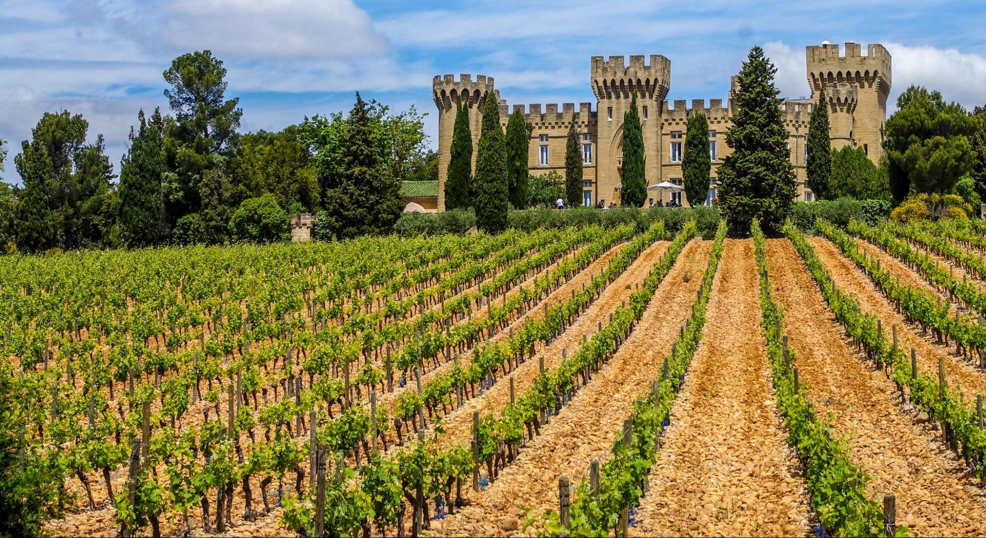 De wijngaarden van Châteauneuf-du-Pape