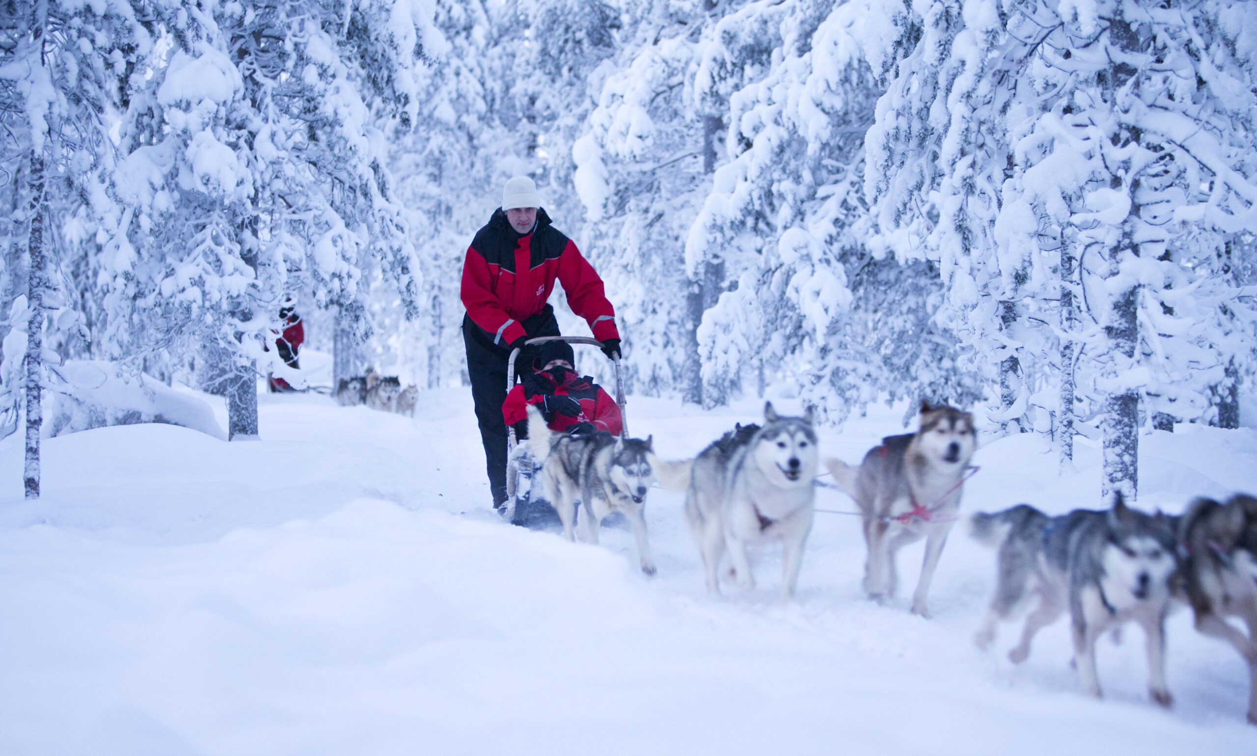 Huskysafari (ca. 2,5 uur)